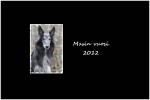 Masin_52_viikkoa_2012