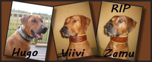 Kuva