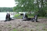 Angelniemi kes�kuu 2012