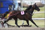 Finlandia-ajo 2012
