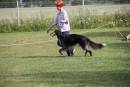 Silkenn�yttely 2011Juhan kuvat