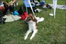 Silkenn�yttely 2011 Onnin kuvat
